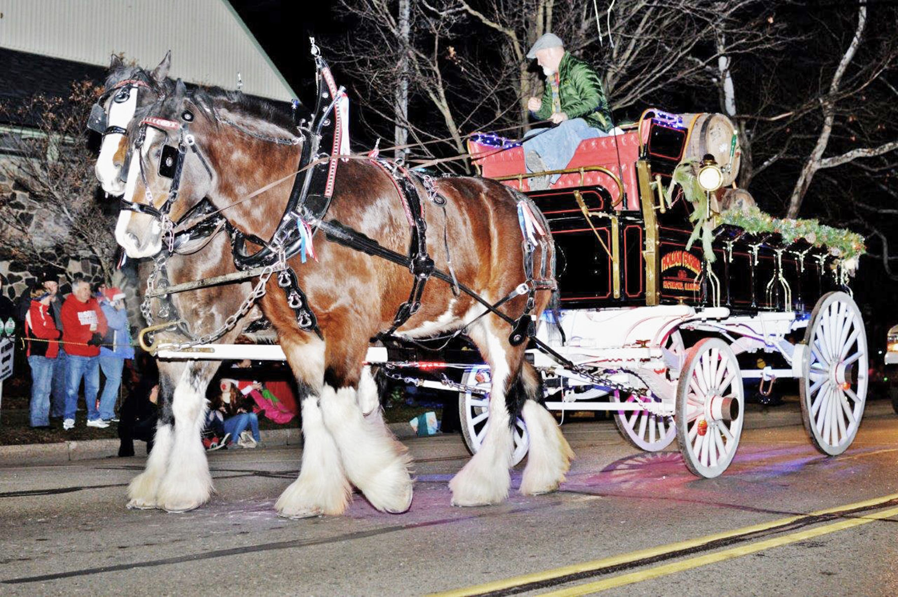 Lake Geneva Electric Christmas Parade 2015
